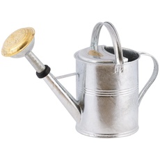 PLINT 5L Watering Can - Modern Style Watering Pot for Indoor and Outdoor House Plants - Coloured Galvanised Powder Coated Steel - Metal Design with Narrow Spout and High Handle - (Zinc)