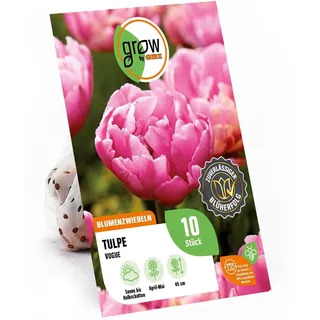 GROW by OBI Pfingstrosen-Tulpe Vogue Rosa-Weiß 45 cm Tulipa