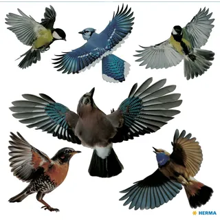 HERMA Warnvögel Vogel Aufkleber Set für Fensterscheiben groß, 2400 Stück, 30 x 30 cm, selbstklebend, ablösbar und wiederverwendbar, Vogelschutz für Fenster aus wetterfester Hart-Folie, bunt