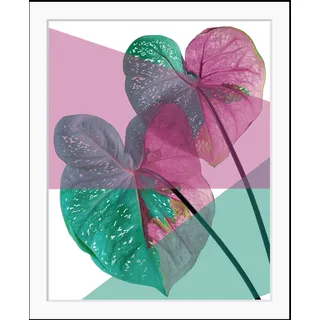queence Bild »Vicky« Blätter   Kunst   Pflanzen   Pflanzenbilder HD Premium Poster-Druck inkl. Holzrahmen, pink