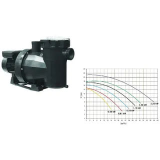Astralpool Victoria Plus Silent Pumpe grau 15,0 m3/h