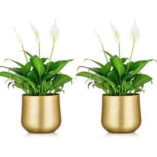 NUPTIO 2 Stück Pflanzentopf Goldvase Metallblumentopfvase mit Drainageloch, Moderner Aufbewahrungsorganisator Dekorative Geschenke für Die Hochzeit Indoor Outdoor Wohnzimmer Balkon Bodendisplay