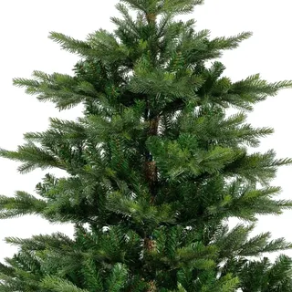 Everlands Weihnachtsbaum Grandis Tanne Grün 180 cm