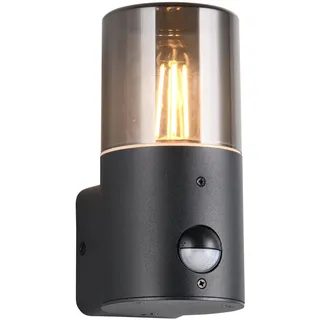 Trio Leuchten Außen Wandleuchte Hoosic 222260132, Druckguss Aluminium Schwarz matt, Schirm Acryl rauchfarbig, exkl. 1x E27, Bewegungssensor