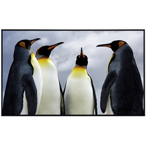 Bild von Infrarotheizung König Pinguins«, Matt-Effekt - bunt