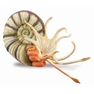 Collecta Pleuroceras Ammonitenfigur Xl Mehrfarbig 3-6 Years Mehrfarbig 3-6 Years