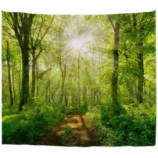 A.Monamour Wanddekor Wandteppiche Sonnenstrahlen Durch Buchen Bäume Wald Fußweg Straße Natur Landschaft Bild Stoff Wandbehang Tapisserie Wandkunst Dekore Tischdecke Bettdecke 180x230cm