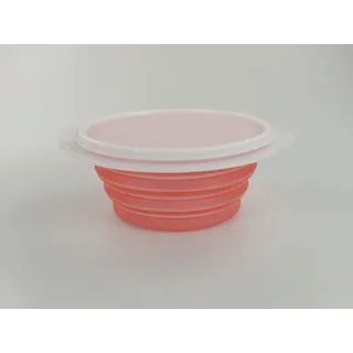 Tupperware Küchenhelfer Teller Mini-Max 950 ml hellgrün grün Faltteller mit Deckel
