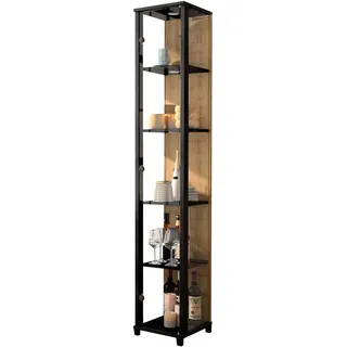 fif möbel Vitrine »OPTIMA« Standvitrine, Vitrinenschrank, Glasvitrine, Sammlervitrine, schwarz