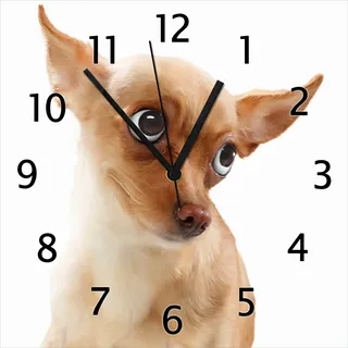 Wallario Design Wanduhr Lustiger Hund mit fliegenden Ohren aus Echtglas, Größe 30 x 30 cm - Weiß