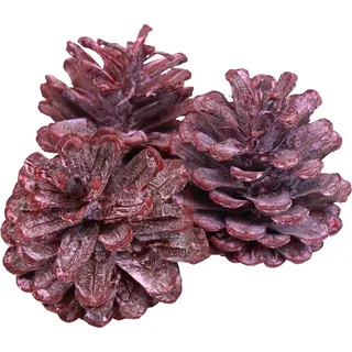 Schwarzkiefer Rot Frost Kiefernzapfen Naturdeko 1kg 5–7cm ideal für Weihnachtsschmuck Adventskranz - Schwarz