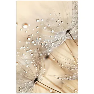 MuchoWow Poster Löwenzahn - Abstrakt - Natur - Beige 80x120 cm , Braun , Papier , Rechteckig , 80x120x0.1 cm , Bilder & Rahmen, Bilder, Sonstige Wandbilder