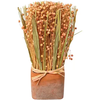Creativ home Trockenblume »Trockenblumen imTopf«, rosa