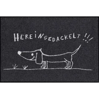 Efia Salonloewe Fußmatte waschbar Hereingedackelt 50x75 cm Eingangs-Matte Hunde lustig Willkommen