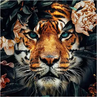 Aapxi Malen Nach Zahlen Erwachsene,Malen Nach Zahlen tiere Tiger und 4 HolzbüRsten Acrylfarbe Faltenfreie Leinwand 40 X 40 cm