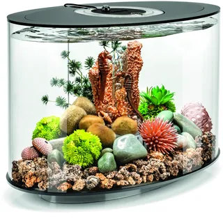 Oase biOrb LOOP 15 LED schwarz Aquarium EEK: G (A - G) 15l mit LED-Beleuchtung