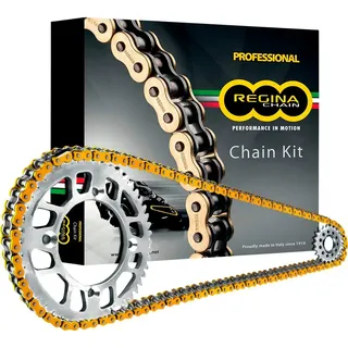 Regina Zse Series Ktm Adventure 390 Abs 20-23/adventure Sw 390 Abs 23 Getriebekit - Gold - One Size