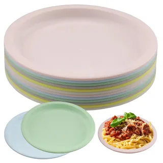 duisoad 12 Stück Plastikteller 19 cm Mehrwegige Flache Speiseteller Unzerbrechliches Speiseteller Set Campingteller für Salate, Obst, Pasta und Snacks, Wiederverwendbar