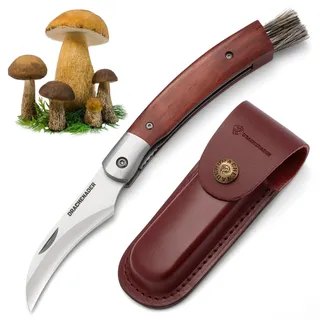 DRACHENADER N-1 Pilzmesser, Pilzmesser mit Bürste/Pinsel (integriert), Liner Lock, Lederscheide, Schwammerlmesser mit Holzgriff und Pilzbürste, Zweihandmesser