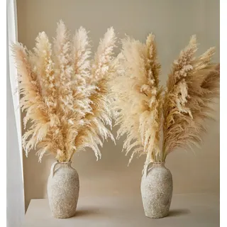 11 Stück Pampasgras Groß, Pampasgras Deko Natürliche und Flauschige, Pampas Grass XXL Getrocknet Bouquet für Hochzeit, Wohnzimmer, Schlafzimmer Deko - 115CM