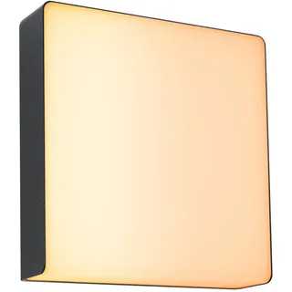Paulmann Außenwandleuchte Aluminium 250x97mm 1 Stk. grau