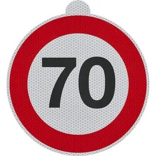 Geschwindigkeitsaufkleber Italien - RA2/DGM autorisiert