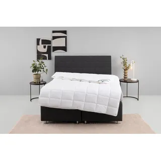 fan Kunstfaserbettdecke »Wellness Line« 4-Jahreszeiten Füllung Polyester 1 Stk. tlg. kochfest bis 95 °C - mit immer wieder aufschüttelbarer Faserfüllung, weiß