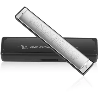 Mundharmonika Professionelle C-Dur Blues Harmonica Diatonische 24 Loch mit Fall für Blues Folk Jazz Pop für Erwachsene Kind Kinder Student Anfänger Geschenk (Silber)