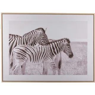 Creativ home Bild mit Rahmen »Zebra« 1 Stk. tlg. mit schwarz-weißem Motiv, schwarz-weiß