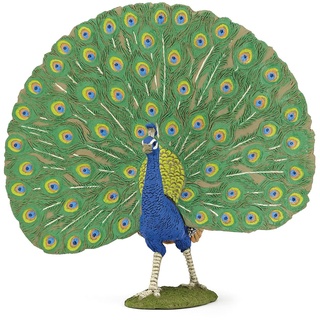 Papo Pfau