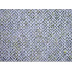 Bild Mauerplatte Rasengittersteine 170625 H0