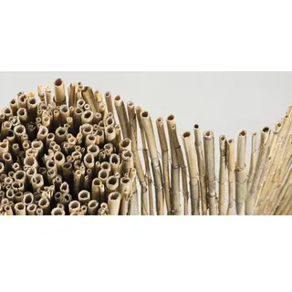 Sichtschutz - 600 x 120 cm holz