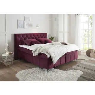 ed exciting design Boxspringbett Pembroke - rot ¦ Maße cm B: 200 H: 121