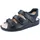Herren 43