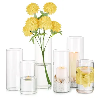 Glasseam Zylinder Vase Deko Glasvase: Schöne Blumenvasen Set 6 Stück, 10/15/20cm Hoch Tulpen Zylindervasen Glas Vasen Durchsichtig für Wohnzimmer Modern Kerzenhalter Blumen Wedding Decoration