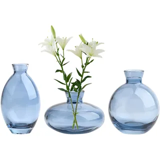 3er-Set Glasvase für Blumen, Transparentes Design, Dekorative Vase für Tischmitte, Boho-Hochzeit, Taufe, Geburtstag, Geschenk zum Muttertag (Blau-2)