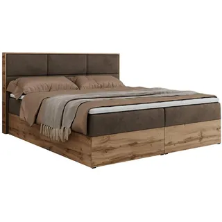 MKS Meble Boxspringbett, Doppelbett mit bettkasten und Multipocket-Matratze, Polsterbett mit Kopfteil, Eiche Holzrahmen - Albero-2 - 160x200cm - Braun Velvet - H3 - Bronze