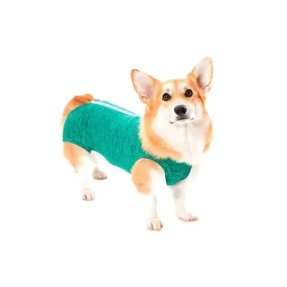 Post-Surgical Regular Bodysuit T2 Green 1 Unit PETMED
