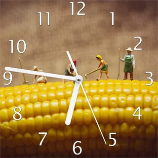 Wallario Design Wanduhr Lustige Bauernfiguren auf einem Maiskolben beim Arbeiten aus Echtglas, Größe 20 x 20 cm - Schwarz