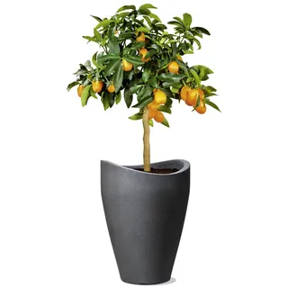 Scheurich Pflanzgefäß Wave High Ø 30 x 40 cm schwarz