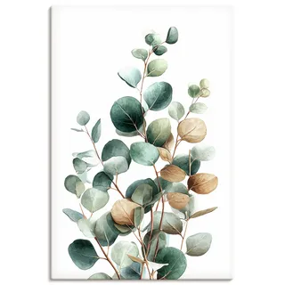 Artland Wandbild "Eukalyptus" Blätterbilder 1 Stk. tlg. als Alubild, Leinwandbild, Poster, Wandaufkleber in verschied. Größen, farbe bild(er): grün