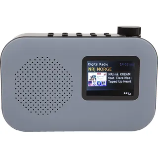 Sahaga 100310 POPurban Soundsystem mit Bluetooth, DAB+ und UKW-Radio, Radiowecker und Farbdisplay Grau - Grau