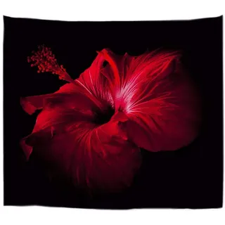 A.Monamour Wanddekor Wandteppiche Romantische Rote Blumen Blüten Vor Schwarzem Hintergrund Fotografie Bild Druck Stoff Wandbehang Tapisserie Wandkunst Decors Für Schlafzimmer Dekorationen 153x130cm