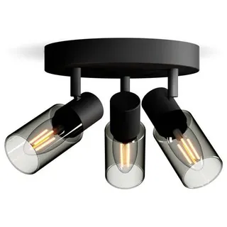 Philips Palms 8720169299351 Deckenstrahler E14 Schwarz