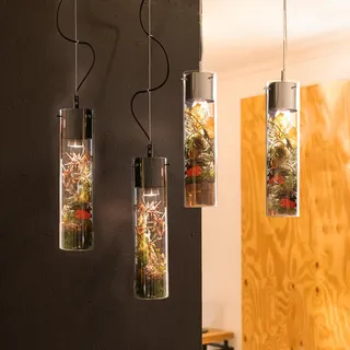 s.luce MyLight 2-flg. 11 cm rund Schwarz/Glas, Metall