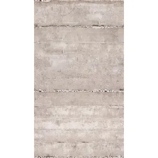 A.S. Création Livingwalls Vliestapete - Tapete Betonoptik in Creme und Grau - Wandtapete für verschiedene Räume - Wandbild XXL 2,80 m x 1,59 m