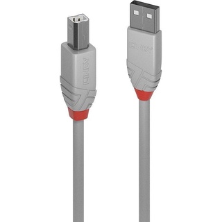 Lindy USB 2.0 USB-A Stecker, USB-B Stecker 3.00 m