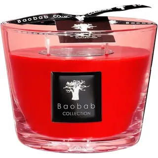 Baobab Collection All-SeasonsMasaai SpiritDuftkerze Max 10 500 g