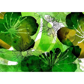 KOMAR Fototapete Aquarell 350 x 250 cm,