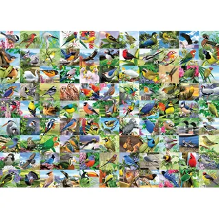 RAVENSBURGER Puzzle aus 99 atemberaubenden EXTRA-Vögeln 300 Teile